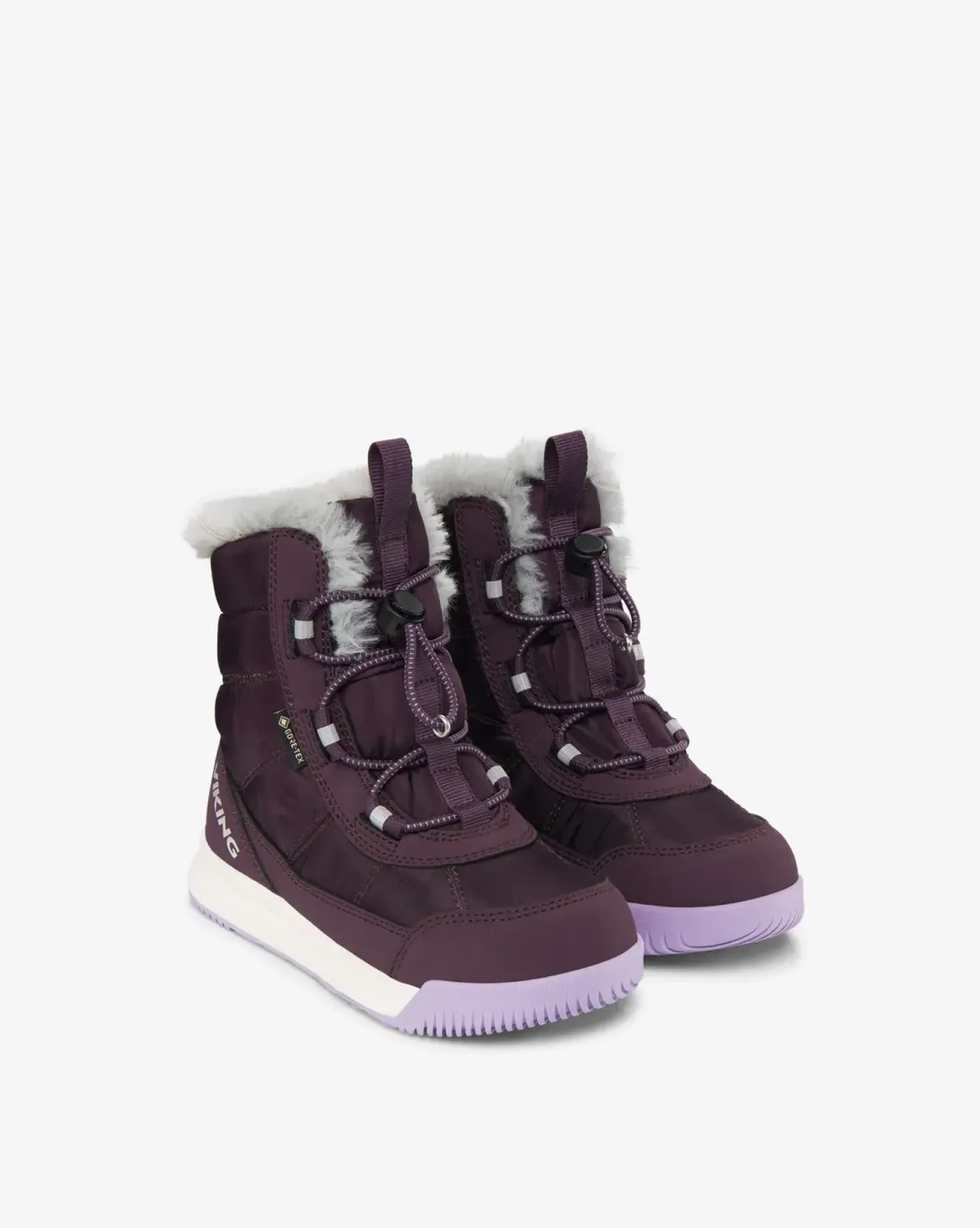 Aery GTX Varma Kängor Grape/Lilac