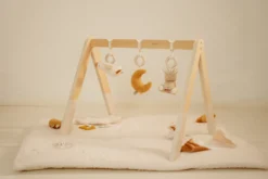 Babygym Newborn