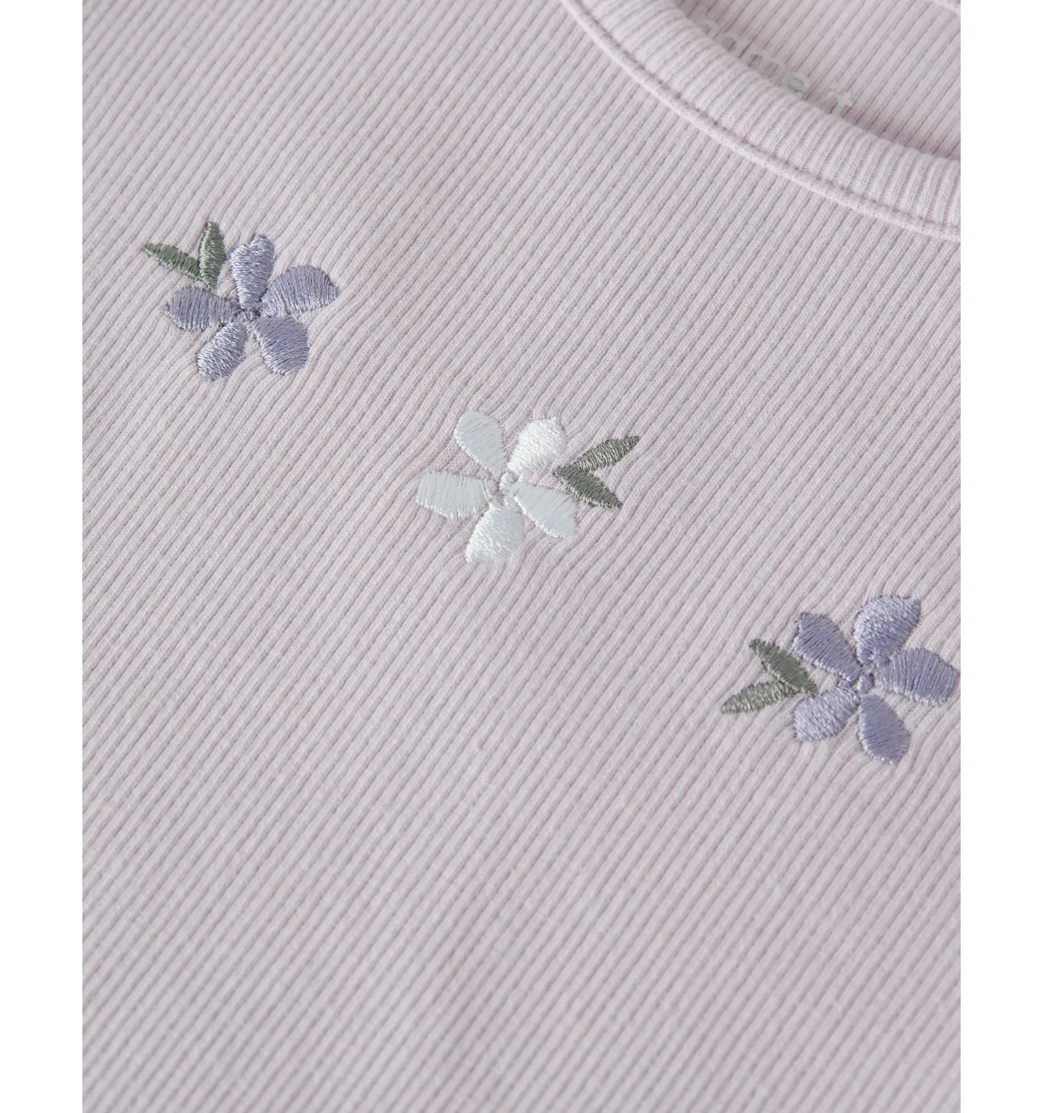 Dari Topp Lavender Fog