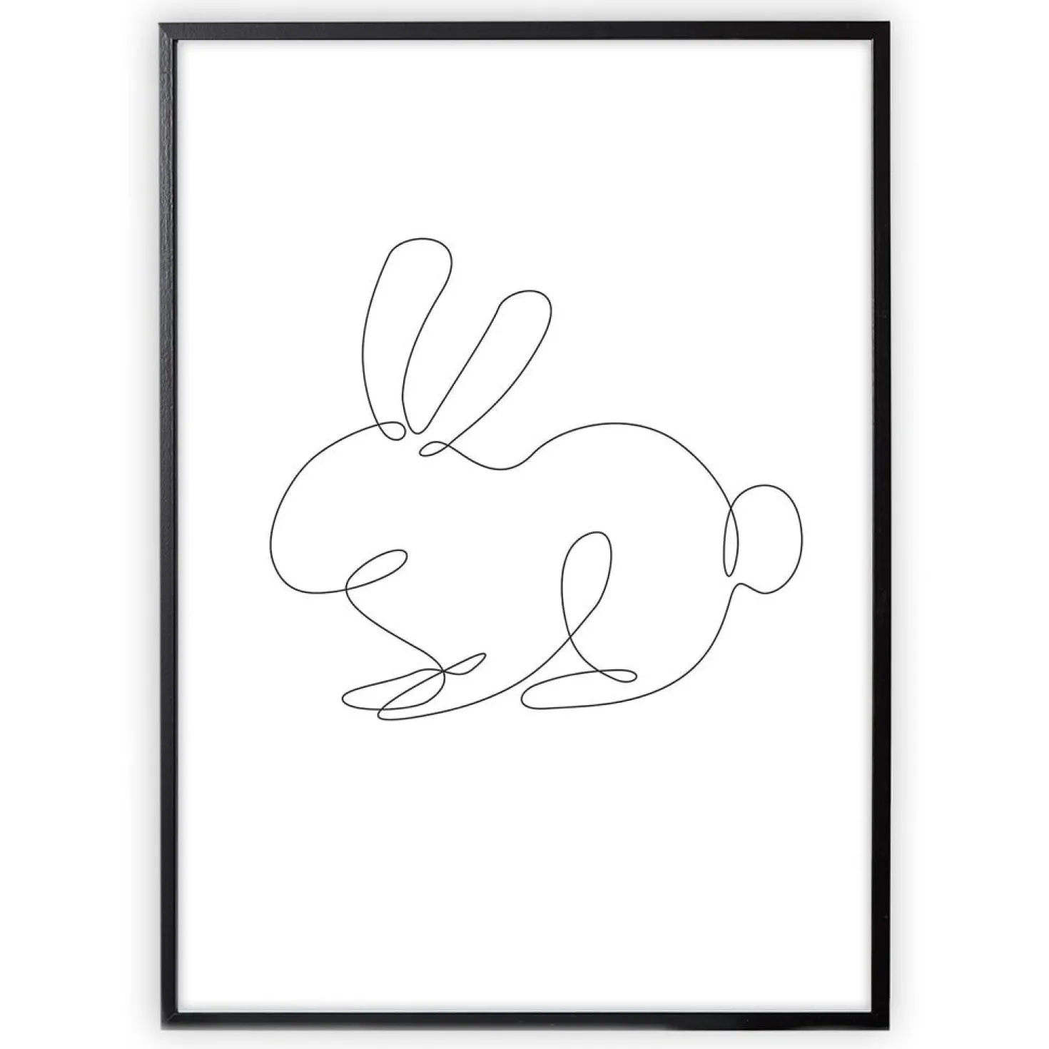 Kanin Linjer Poster