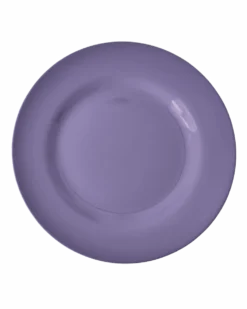 Melamine Round Dinner Plates in Asst. Solid Colors - 6 Pack