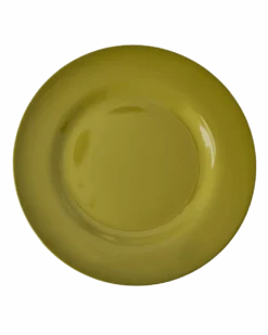 Melamine Round Dinner Plates in Asst. Solid Colors - 6 Pack
