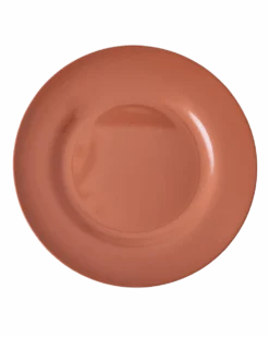Melamine Round Dinner Plates in Asst. Solid Colors - 6 Pack