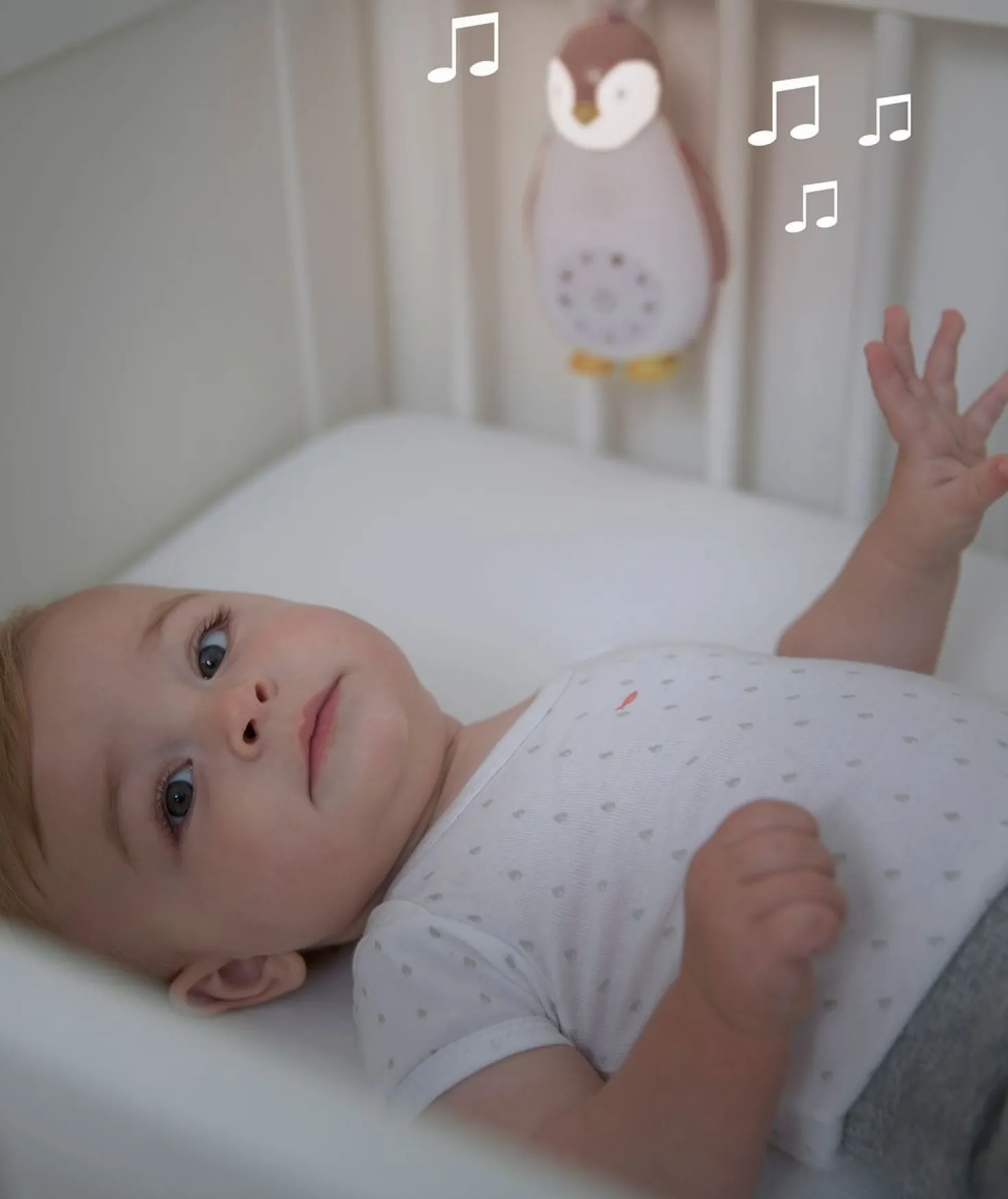 Zoe Music Box Grå